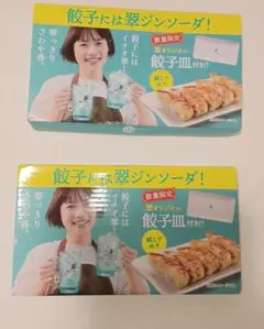 ２枚　餃子プレート イチオシ翠デザイン 餃子皿付き