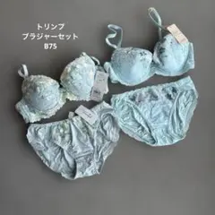 トリンプ　ブラジャーセット