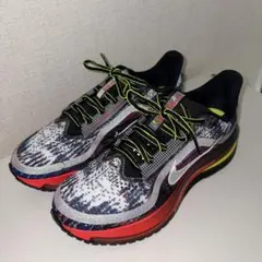 新品未使用箱付き】NIKE PEGASUS PLUS/26.0cm - メルカリ