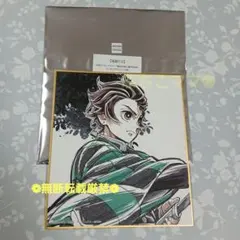 鬼滅の刃 竈門炭治郎 柱描き下ろしイラスト ランダムデザインミニ色紙 アップ