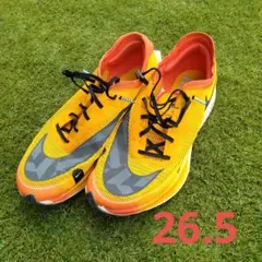 Item thumbnail for item cc6330fd-e28b-48fc-914a-dcac25191c97