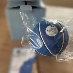Hoggsy Plus エクササイズボール 青