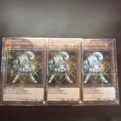 ドイツ版　1st ライトロードハンターライコウ　英語　EU ライトロードハンターライコウ 1st スーパー 英語版 - メルカリ