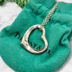 Tiffany & Co. ティファニー フック ネックレス 廃盤品 - メルカリ
