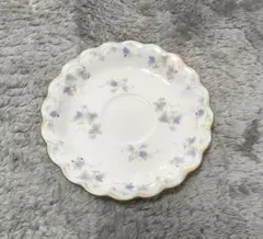 HOYA CHINA CORP Flash Ivory ソーサーのみ