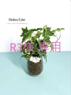 R3様 リクエスト 7点 まとめ商品 ■メルカリ便■