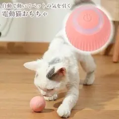 Item thumbnail for item 78a4c6d0-fb32-4056-ae95-77f1e4abeec6