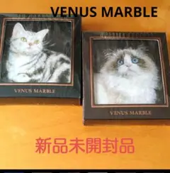 VENUS MARBLE ラグドール&アメリカンショートヘアーのサムネイル