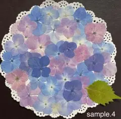 もも様 リクエスト 2点 まとめ商品