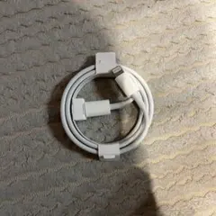 ホワイト Lightning 充電ケーブル