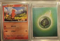 サン＆ムーン エネルギーパック 草エネルギー ポケモン　ヒトカゲのサムネイル