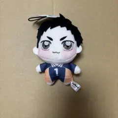 澤村大地 ちょぴぬいぷちのサムネイル