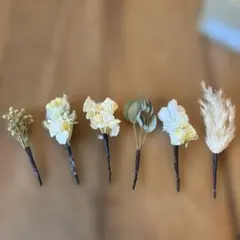 Item thumbnail for item ea2c05d9-a077-4ffb-8770-f8ad11cee2c8