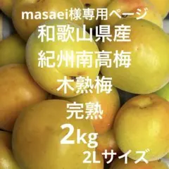 masaei様専用ページ和歌山県産 紀州南高梅 木熟梅 2L2kgのサムネイル