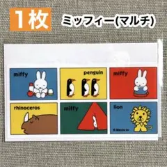【1枚】ミッフィー マイナンバーカードケース ＜マルチ＞