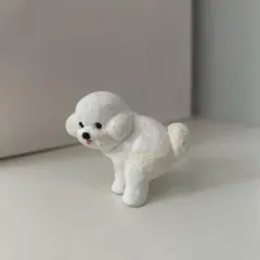 ビションフリーゼ カプセルトイ