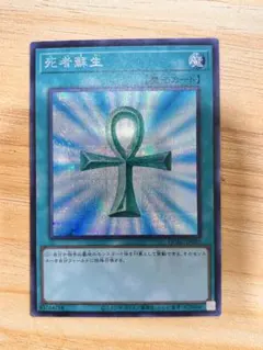 2026年最新】死者蘇生 25thの人気アイテム - メルカリ