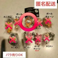 SKZOO つまんでつなげてマスコット vol.2　スキズ　ガチャ