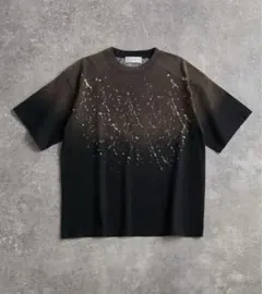 【美品】adrerハイエンドライン オーバーサイズ 6デザインTシャツ　lサイズのサムネイル