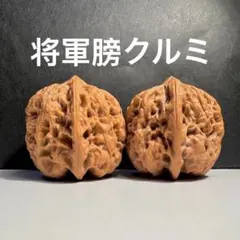 2026年最新】文玩核桃の人気アイテム - メルカリ