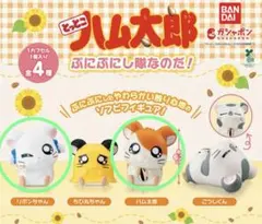 とっとこハム太郎 ぷにぷにし隊なのだ！ ハム太郎 リボンちゃん