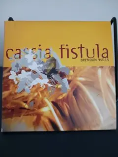 オーストラリアの実験音楽家ブレンダン・ウォルス『Cassia Fistula』のサムネイル