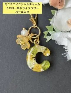 M ミニミニ イニシャル チャーム レジン イエロー系ドライフラワー