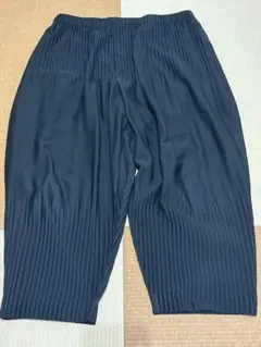 ISSEY MIYAKE BASICS PANTS PLISSE
