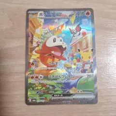 ポケモンカード ホゲータex SAR