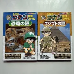 名探偵コナン 推理ファイル2冊セット