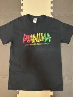 【USED】WANIMA Tシャツ Mサイズ PIZZA OF DEATH
