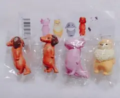 虚無　参　４個セット