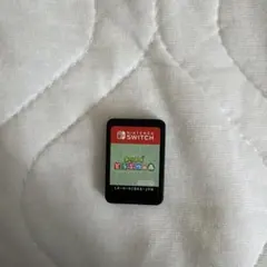 Nintendo Switch あつまれ どうぶつの森 ソフト本体