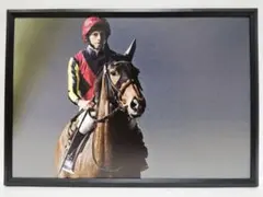 競馬 ジェンティルドンナ パネル JAPAN SPIRIT