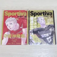 ハイキュー　ショーセツバン　特典　ビジュアルボード　影山　及川　木兎　侑 ハイキュー！！ 及川 アニメイト ビジュアルボード 特典のみ