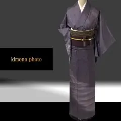 【新品、未使用】トールサイズ【正絹】本場大島紬訪問着【極上逸品】作家物フルセット