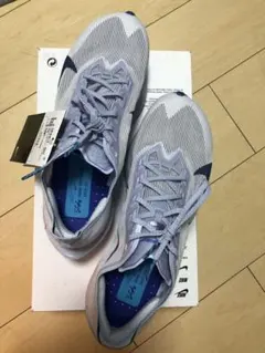 Item thumbnail for item 51993527-5d77-481d-8da9-228e2aad4c38