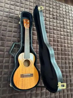 Item thumbnail for item 6a0e8ec6-32c7-4d61-a1f2-4e6d803a40a8