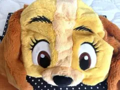 レディ ファンキャップ ディズニーのサムネイル