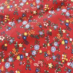 紅茶染め カラフルレースセット 60cm×40種 2670K-016 - メルカリ