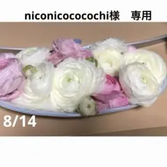 niconicococochi様　専用