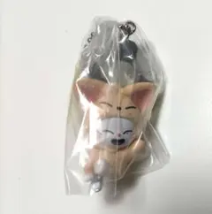 skzoo フォクシニー　ジニレット　ガチャ