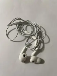 Apple 純正品 有線イヤホン ライトニングLightning