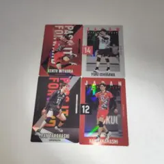 日本代表バレーボールトレカ4枚セット