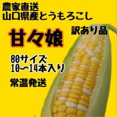 1 284様専用 8本【スーパースイートコーン甘々娘】農薬化学肥料不使用 