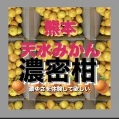 糖度13〜14度熊本天水（ひのひかり)みかん　箱込み約5キロS SからLLサイズ