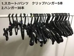 Item thumbnail for item 2ae3e4db-5c86-4f27-a9a4-3e9bcb3ba2fc