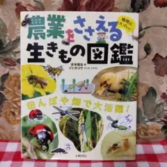 Item thumbnail for item 5cd3bbe2-3474-474d-8398-7f1ac82e7532