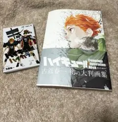ハイキュー!! 大判画集＋公式イラスト集