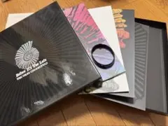 THE ORAL CIGARETTES Before It's Too Late